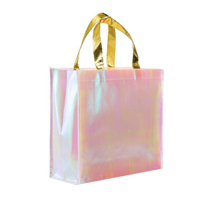 Non Woven Shopping Bag